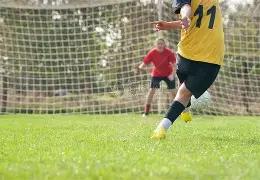 叙利亚全国,对话大会,日启幕,火狐,HuoHu,火狐官网,火狐体育官网,火狐体育下载,火狐APP